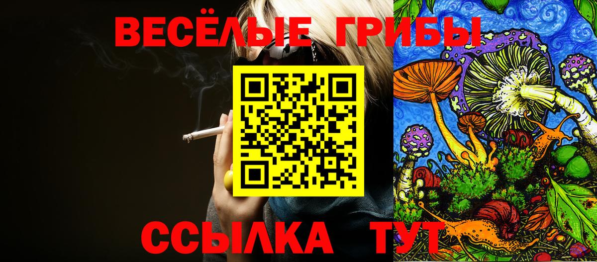 Галлюциногенные грибы Psilocybe  цены   Москва  Вход с VPN 