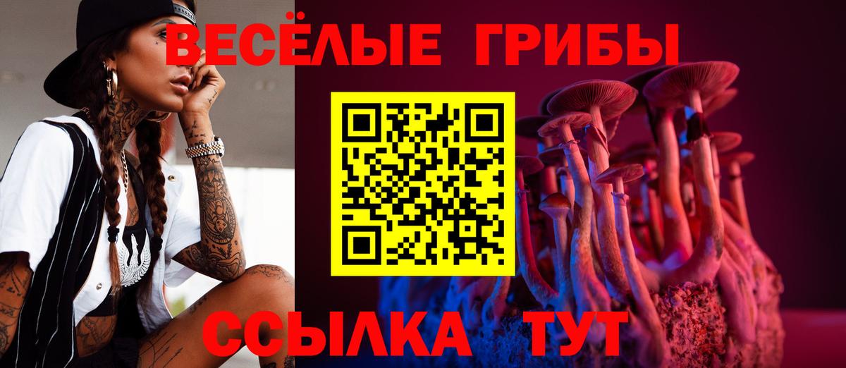 Галлюциногенные грибы прущие грибы Москва